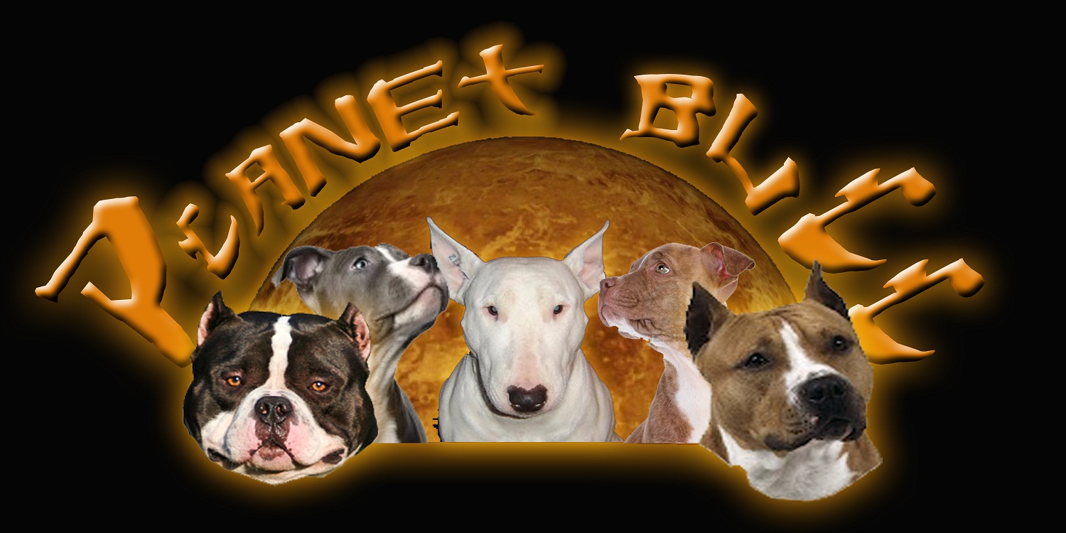 PLANET BULL