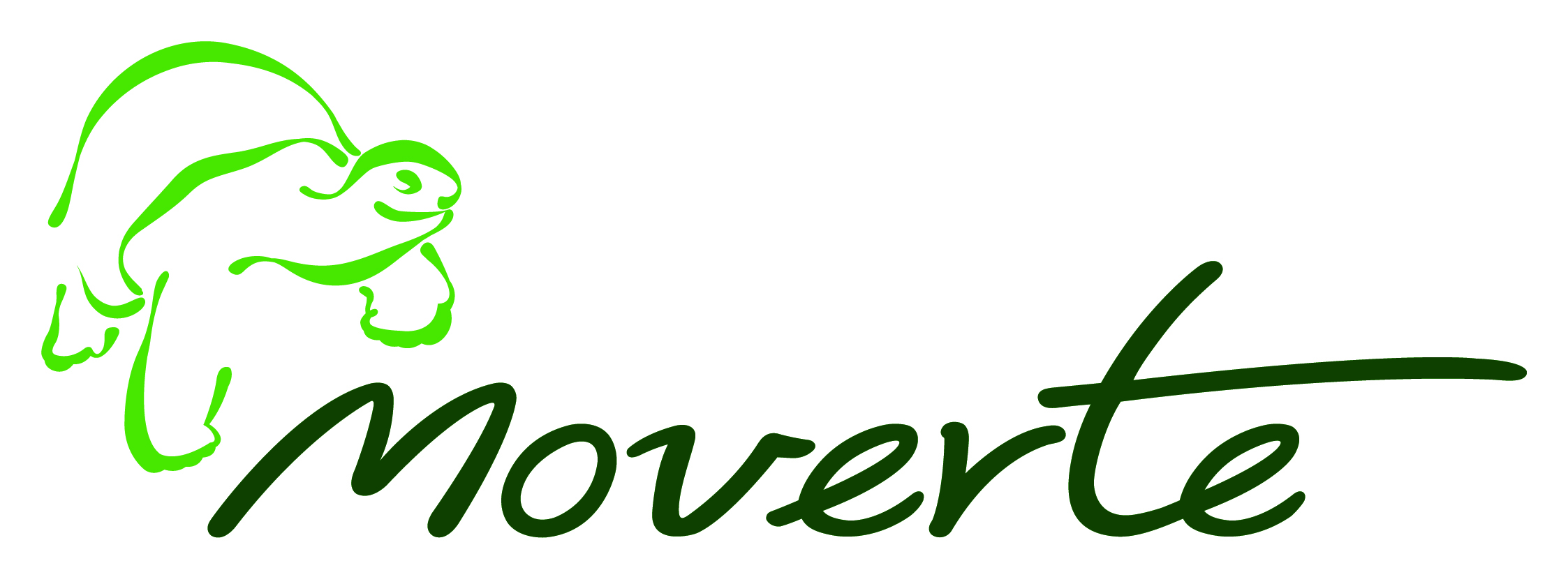 ORTOPEDIA MOVERTE 