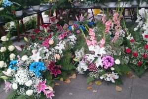 12x5-mercado-de-las-flores