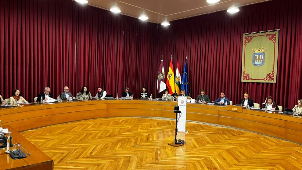 pleno ayuntamiento