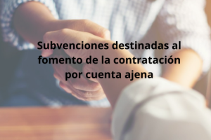 IMAGEN NOTICIAS CAMARA