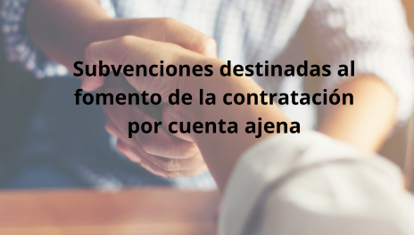IMAGEN NOTICIAS CAMARA