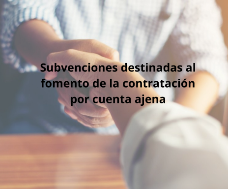 IMAGEN NOTICIAS CAMARA