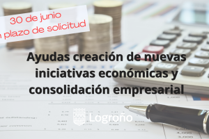 Subvencion Nuevas iniciativas y consolidación empresarial