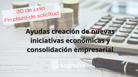 Subvencion Nuevas iniciativas y consolidación empresarial